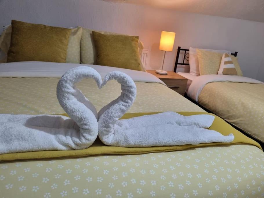 Apartment Be Our Guest! Stylish-free Parking-central Location